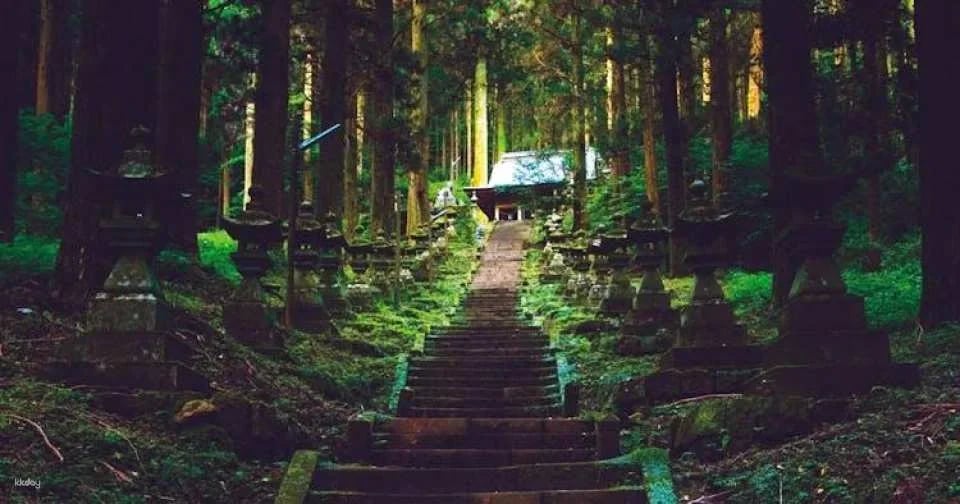 Miyazaki, Takachiho Gorge and Shrines guided tour from Fukuoka