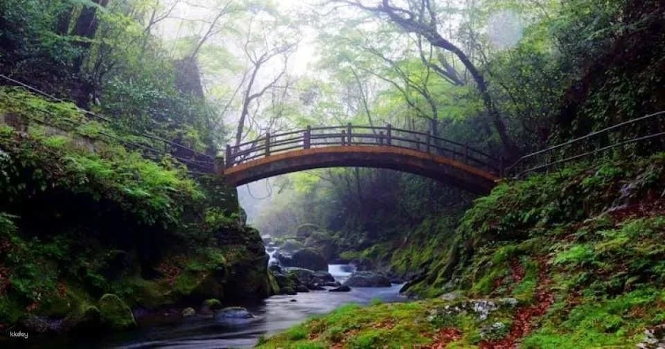 Miyazaki, Takachiho Gorge and Shrines guided tour from Fukuoka