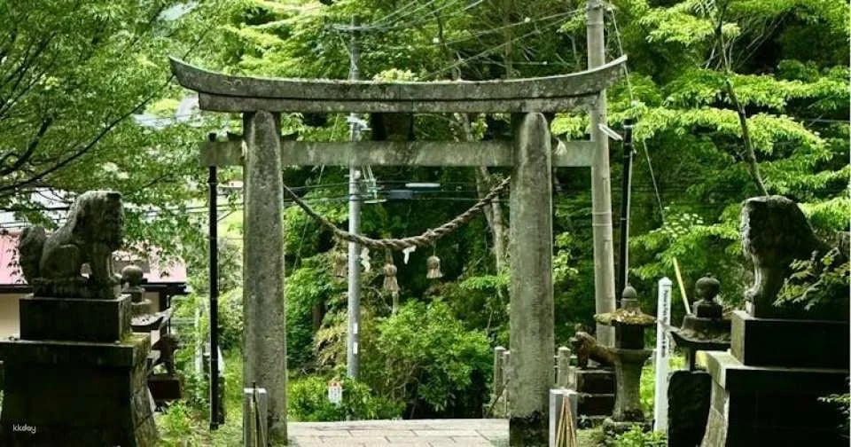 Miyazaki, Takachiho Gorge and Shrines guided tour from Fukuoka