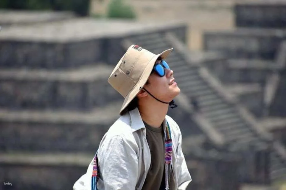 Teotihuacan pyramids and Shrine of Guadalupe private tour with optional lunch