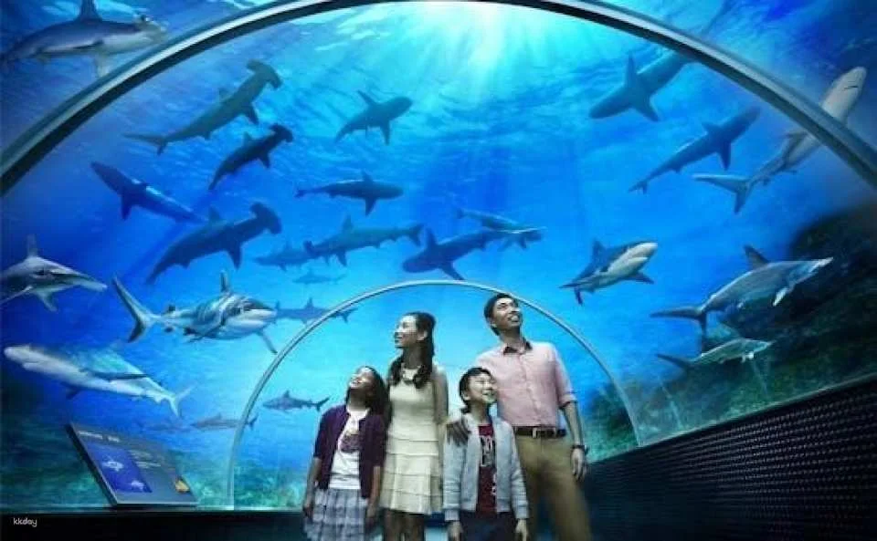 Underwater World Langkawi Entrance Ticket