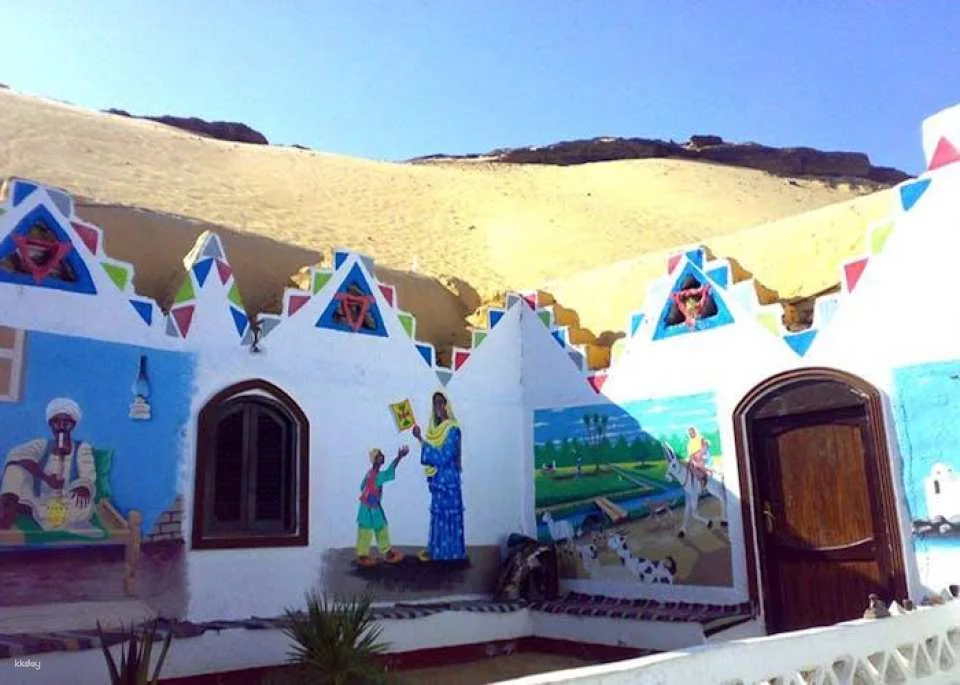 Aswan tour with home cooked meal