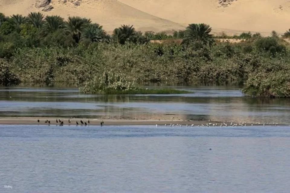 Aswan tour with home cooked meal