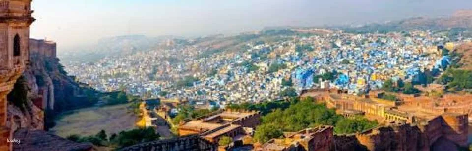 Jaipur city half-day private tour (620424)