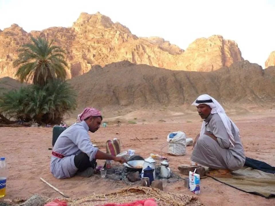 Bedouin home cooked meal and camel ride in the Nabq National Park