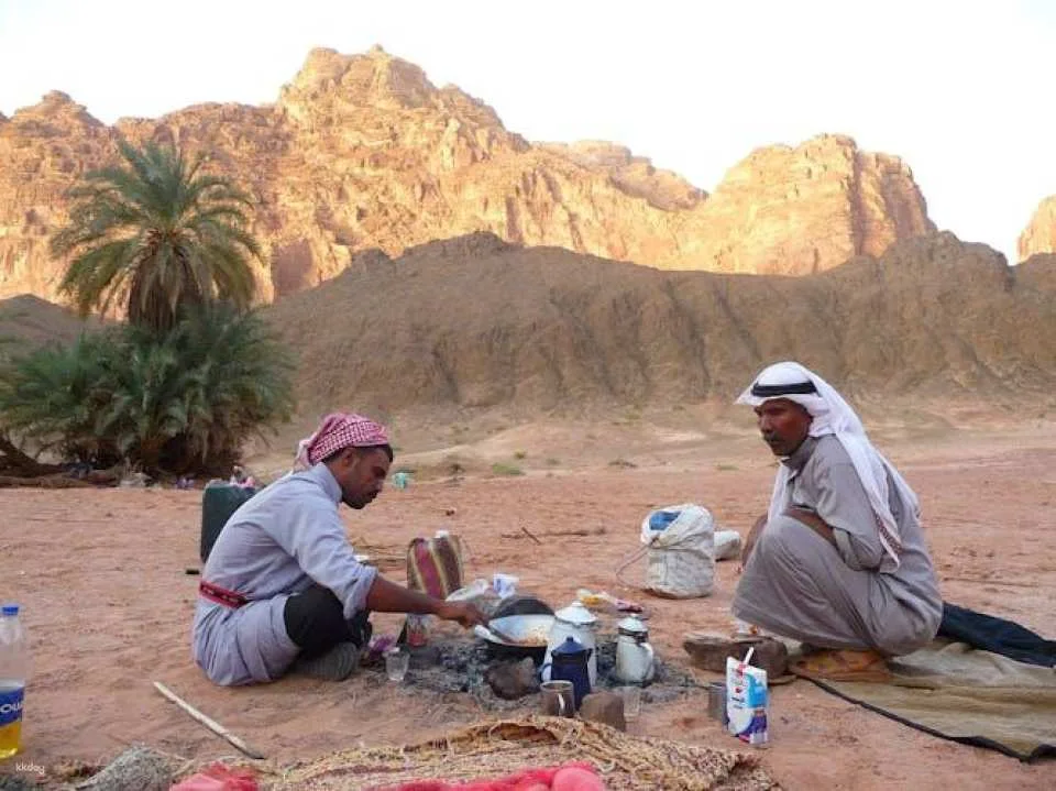 Bedouin home cooked meal and camel ride in the Nabq National Park