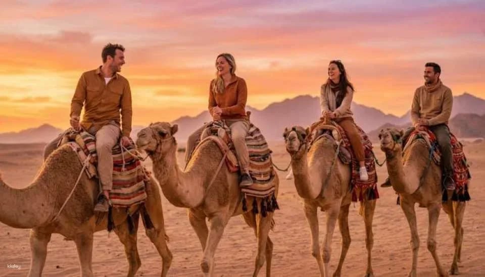 Bedouin home cooked meal and camel ride in the Nabq National Park