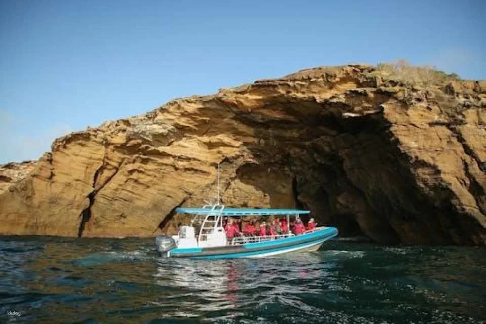 Hunter coastal adventure boat tour