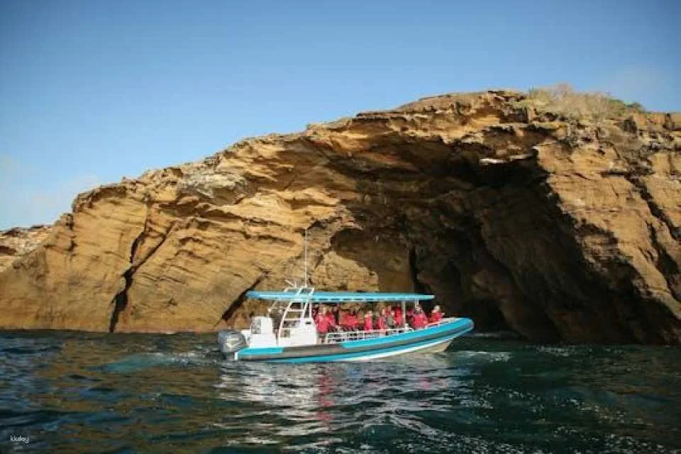 Hunter coastal adventure boat tour