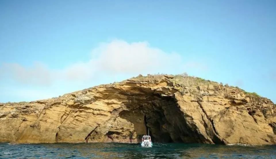 Hunter coastal adventure boat tour