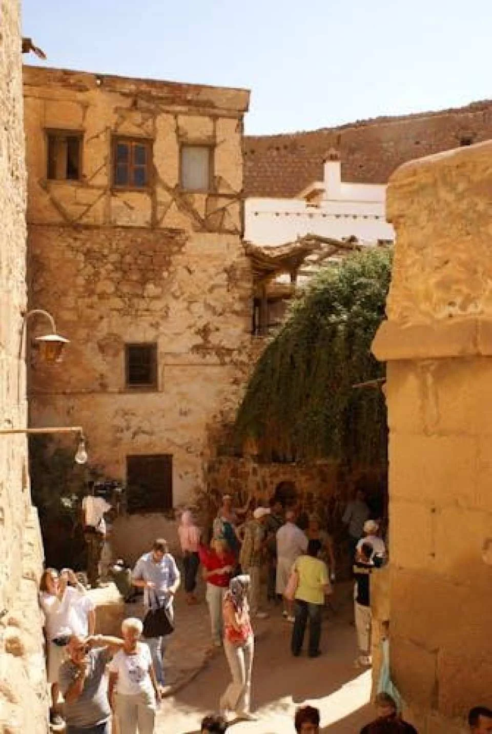 Tour of St. Catherine's Monastery and Dahab with lunch - from Sharm El Sheikh