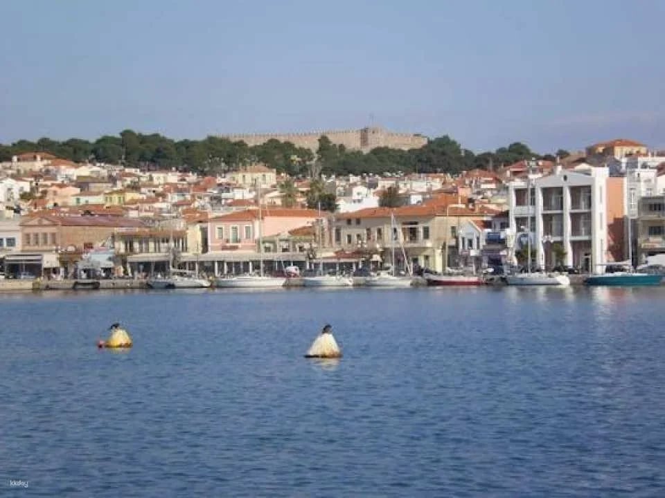 Small group olive-oil tasting and mountain villages tour in Lesbos