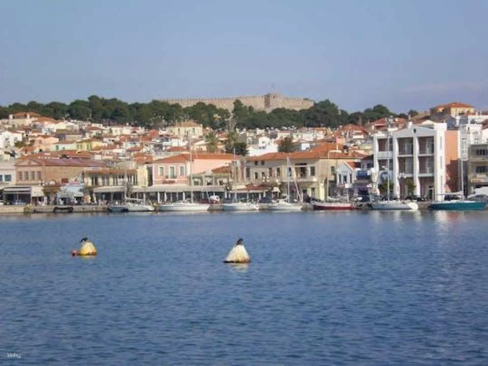 Small group olive-oil tasting and mountain villages tour in Lesbos (620518)