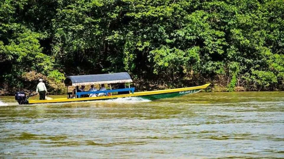 Lacandona Jungle, Yaxchilan and Bonampak full-day guided tour from Palenque