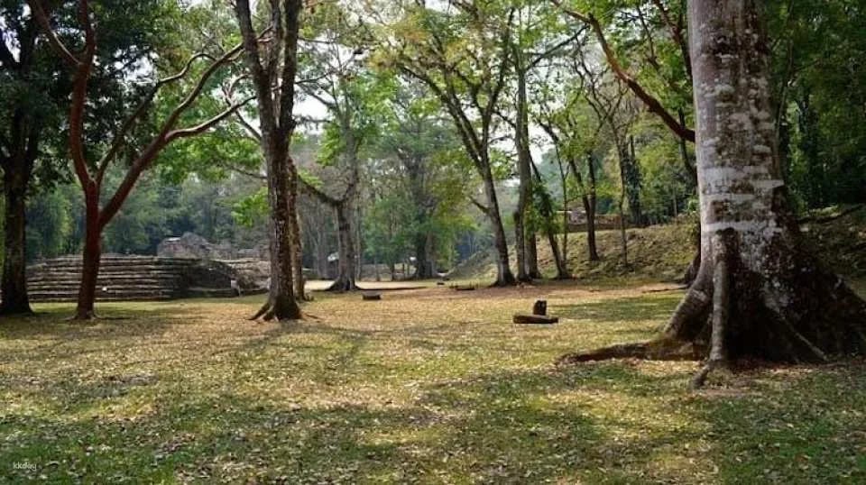 Lacandona Jungle, Yaxchilan and Bonampak full-day guided tour from Palenque