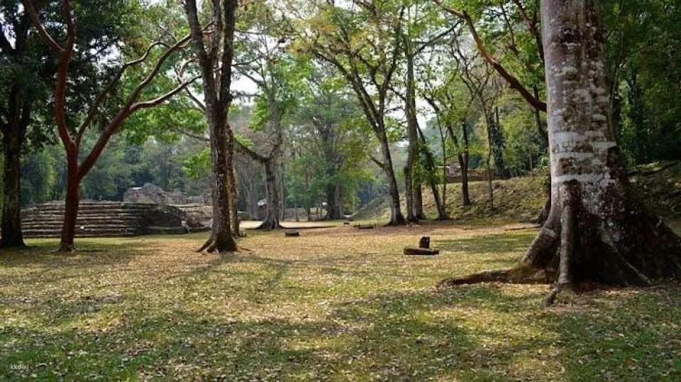Lacandona Jungle, Yaxchilan and Bonampak full-day guided tour from Palenque