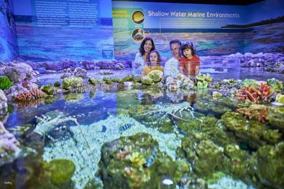 Cairns Aquarium Twilight guided tour with three course dinner