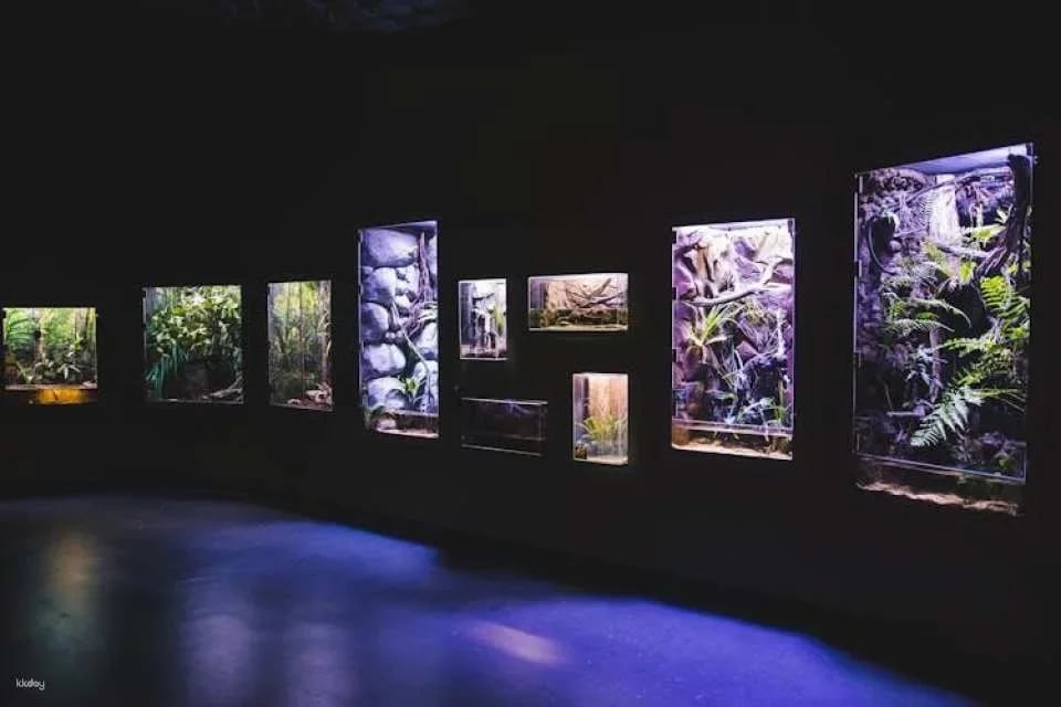 Cairns Aquarium Twilight guided tour with three course dinner