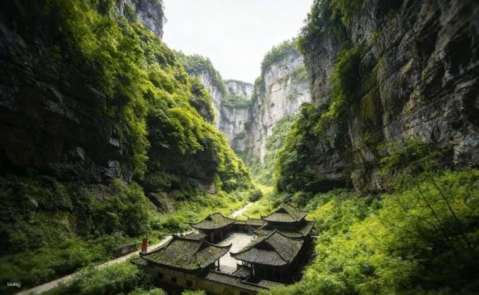 Full-day Wulong’s hidden gems private guided tour