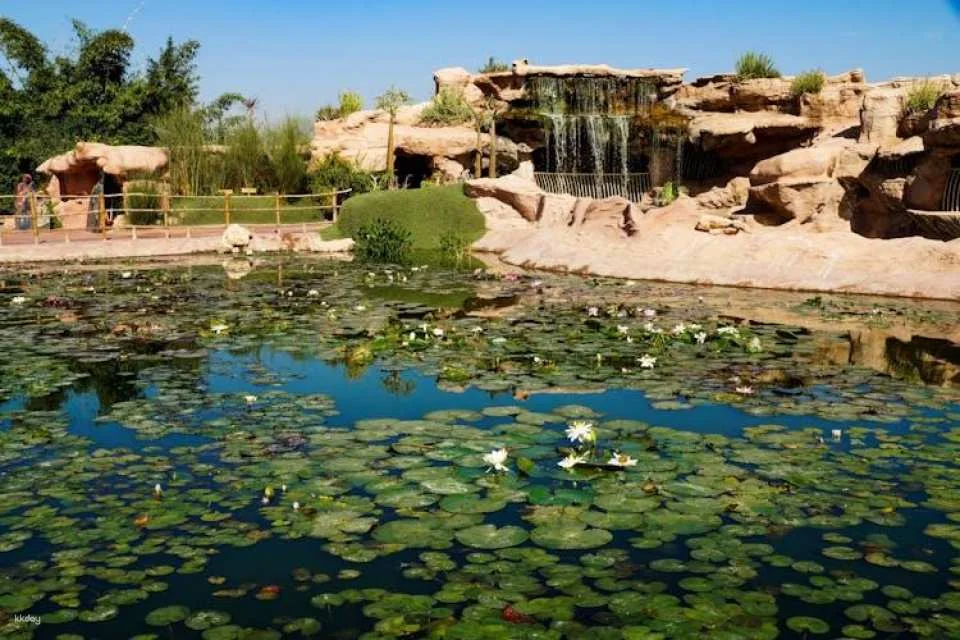 Visit to Crocoparc from Agadir or Taghazout with Entrance Tickets