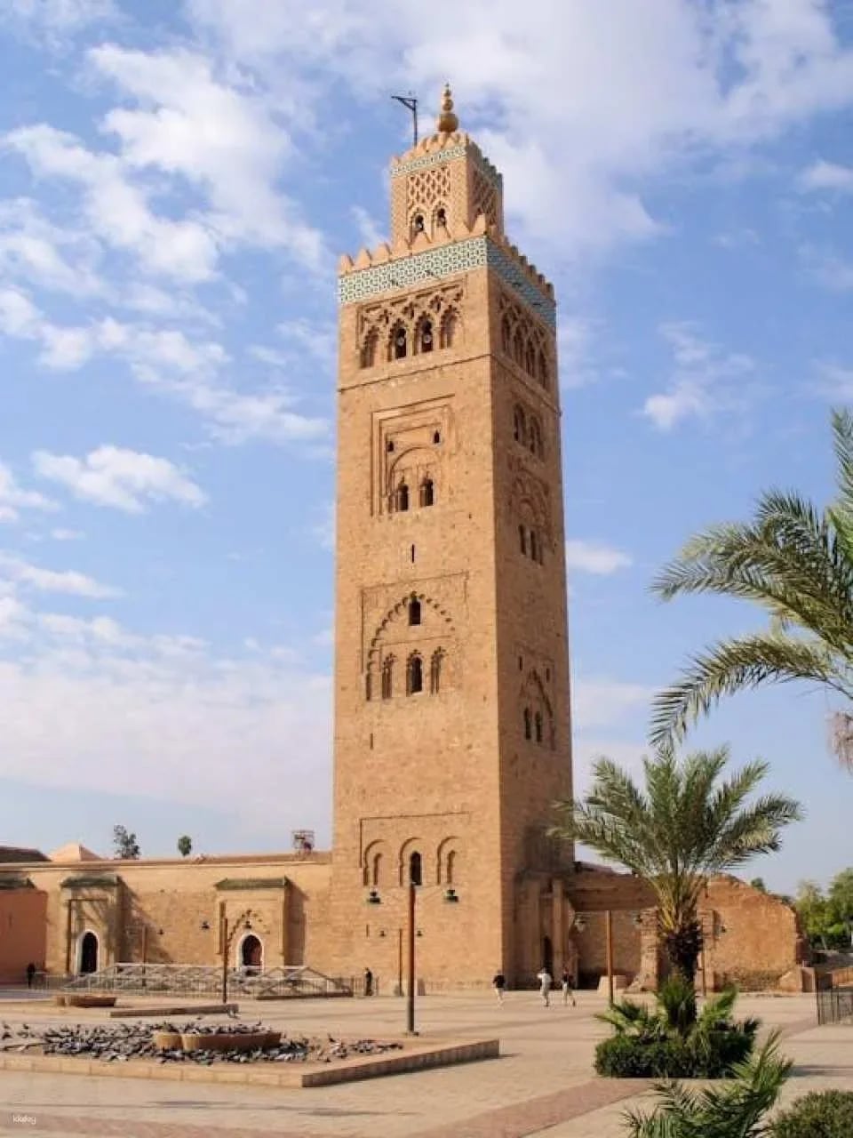 Marrakech highlights premium tour with lunch from Marrakech