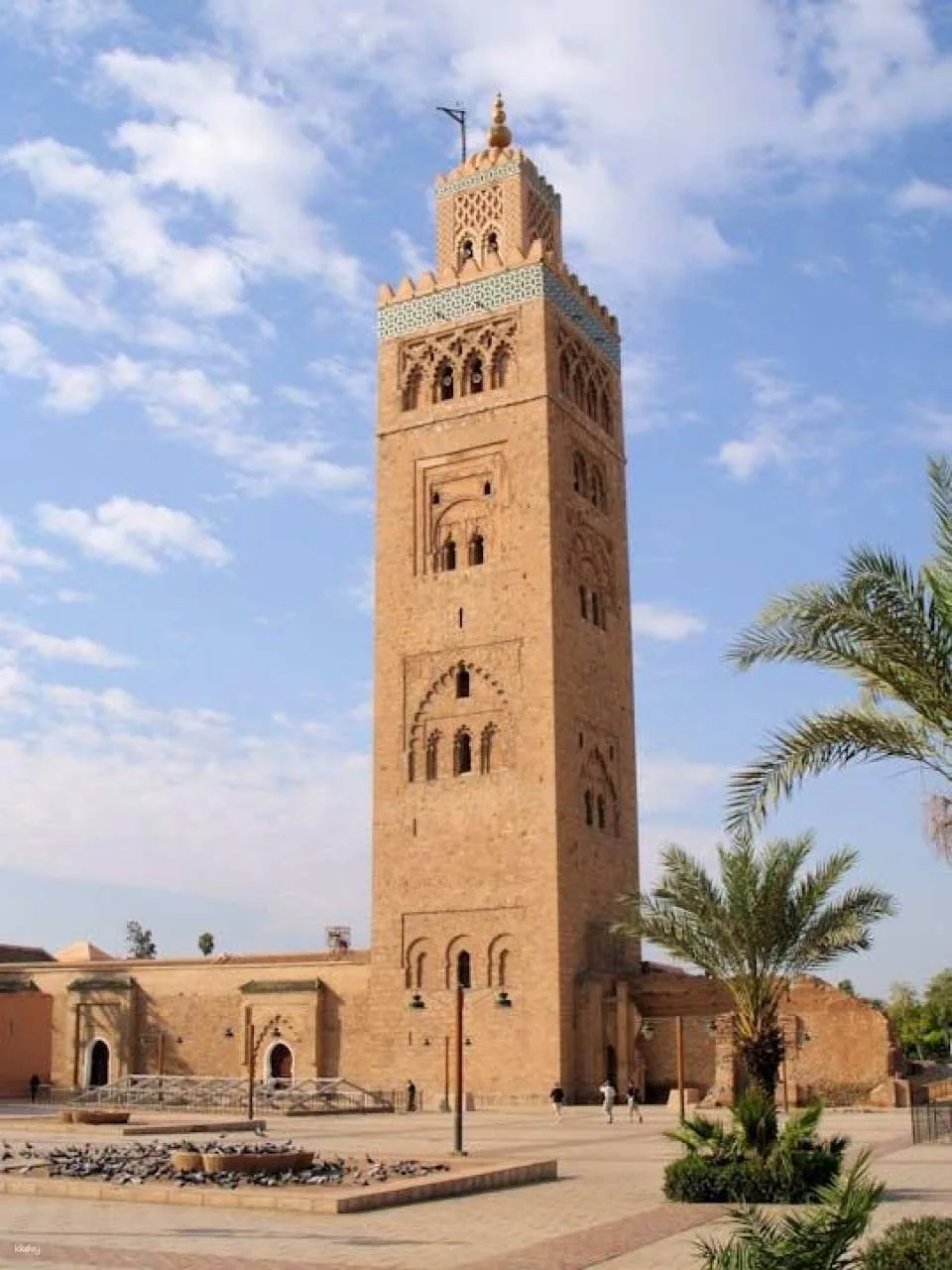 Marrakech highlights premium tour with lunch from Marrakech