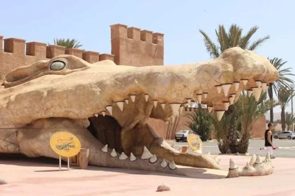 Crocoparc Visit from Agadir or Taghazout with Entrance Fees