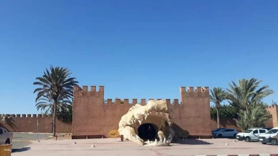 Crocoparc Visit from Agadir or Taghazout with Entrance Fees