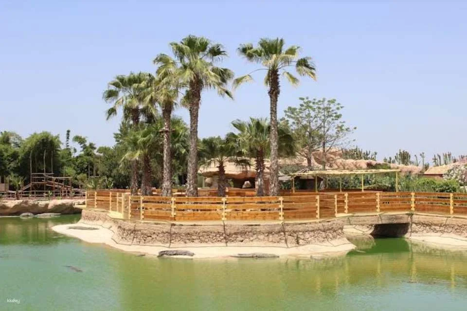 Crocoparc Visit from Agadir or Taghazout with Entrance Fees