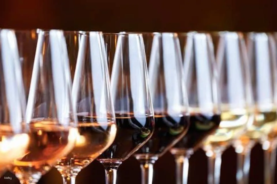 Slovak wine tasting with a sommelier in Bratislava (621035)