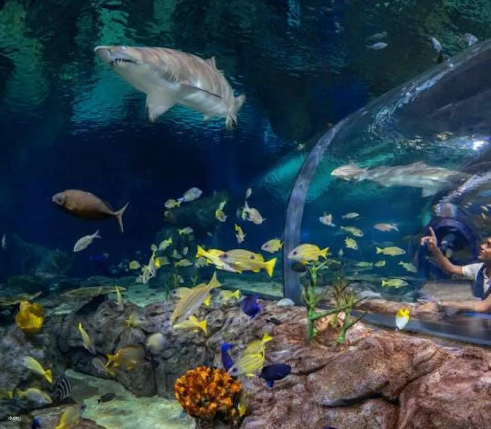 Mauritius Oceanarium Entrance Ticket With Transfer