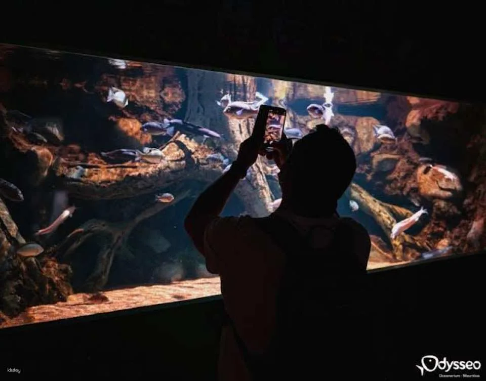 Mauritius Oceanarium Entrance Ticket With Transfer