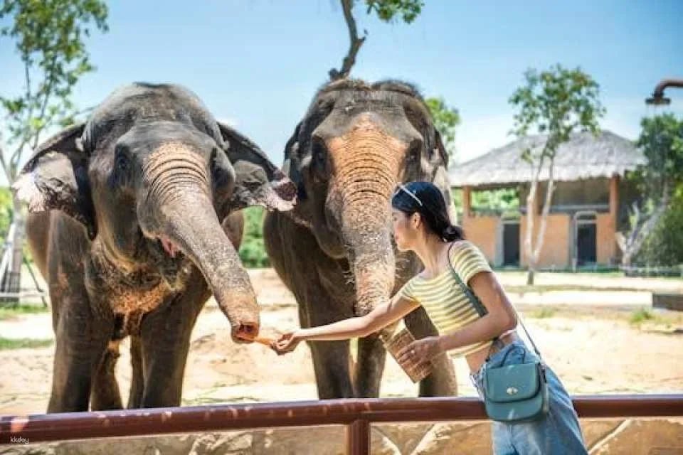 VinWonder South Hoi An tickets