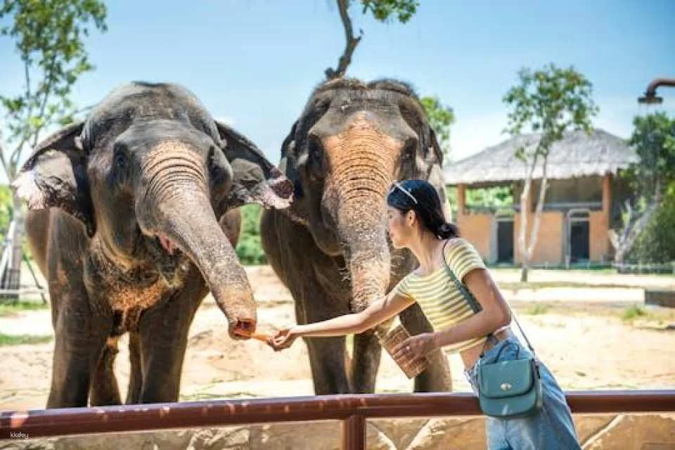 VinWonder South Hoi An tickets