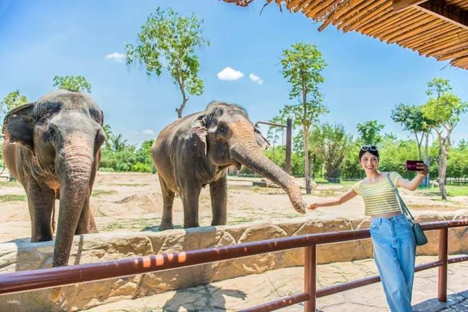 VinWonder South Hoi An tickets