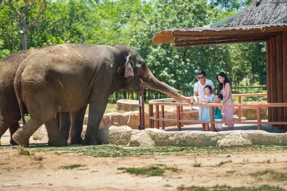 VinWonder South Hoi An tickets