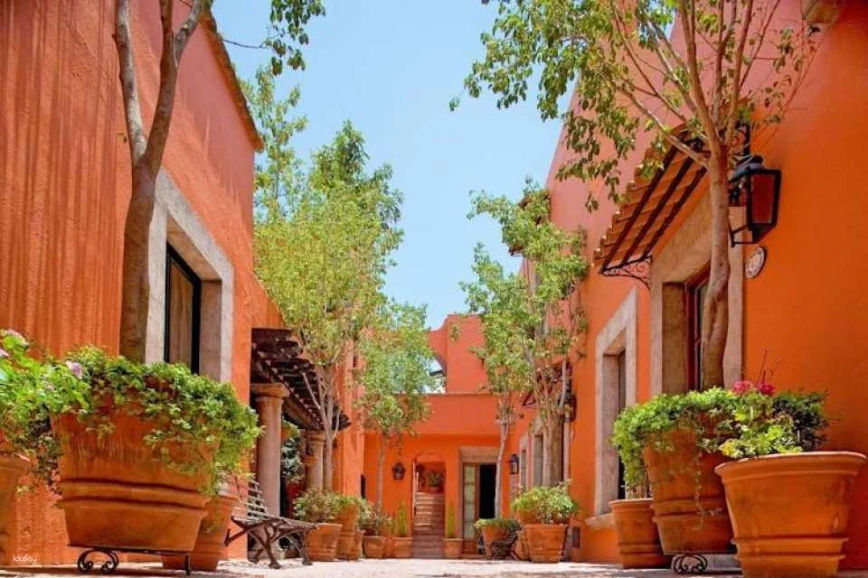San Miguel de Allende private day trip from Mexico City
