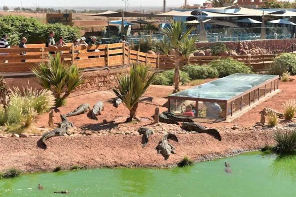 Guided tour of Agadir, cable car and Crocoparc from Marrakech