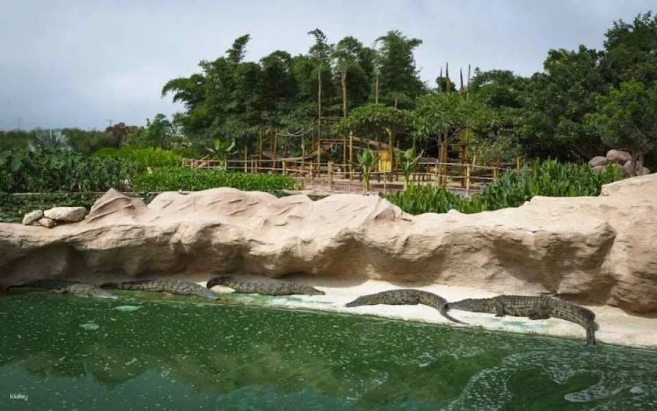 Guided tour of Agadir, cable car and Crocoparc from Marrakech