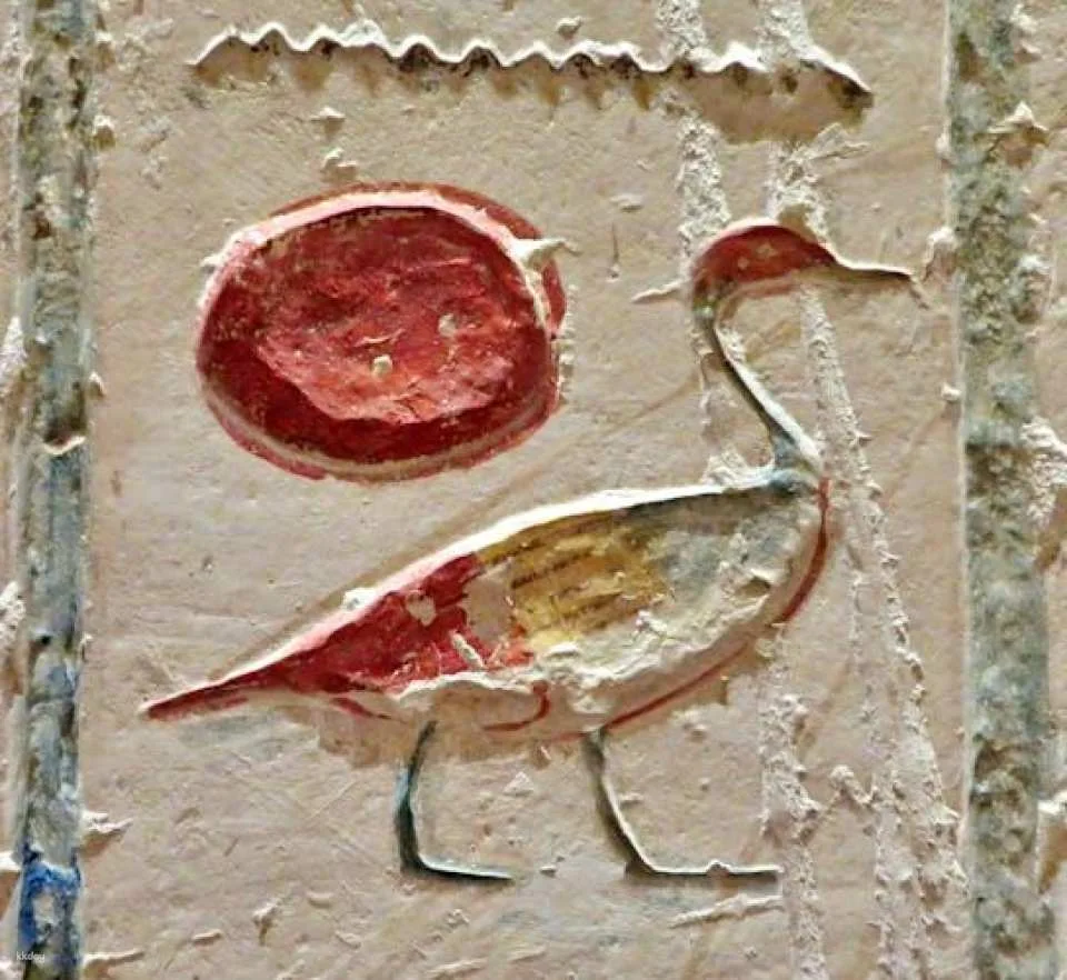 7-Day Tour of Luxor and Aswan Highlights aboard Steigenberger Minerva