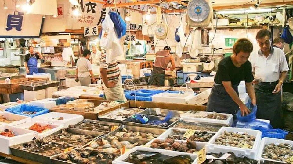Tokyo Audio Guide with TravelMate App