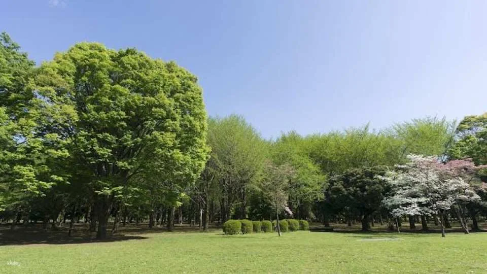 Tokyo Audio Guide with TravelMate App