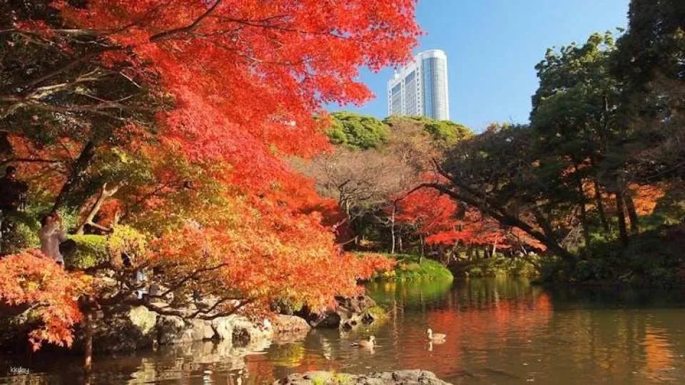 Tokyo Audio Guide with TravelMate App