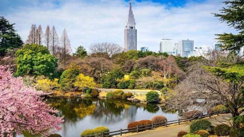 Tokyo Audio Guide with TravelMate App