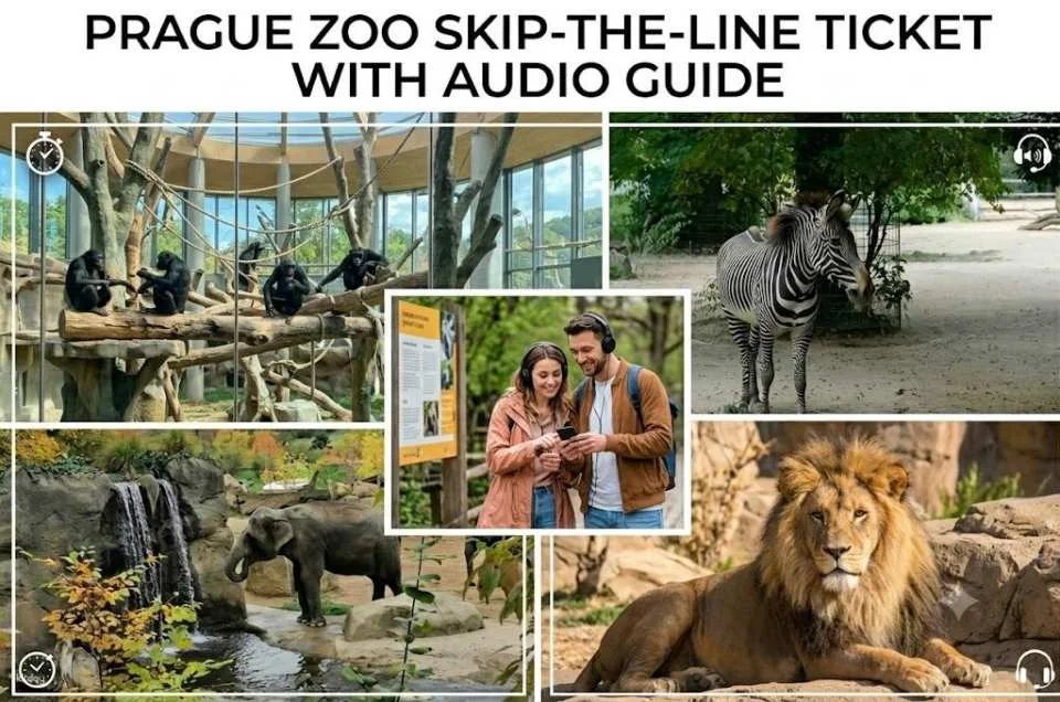 Prague Zoo Entrance Ticket