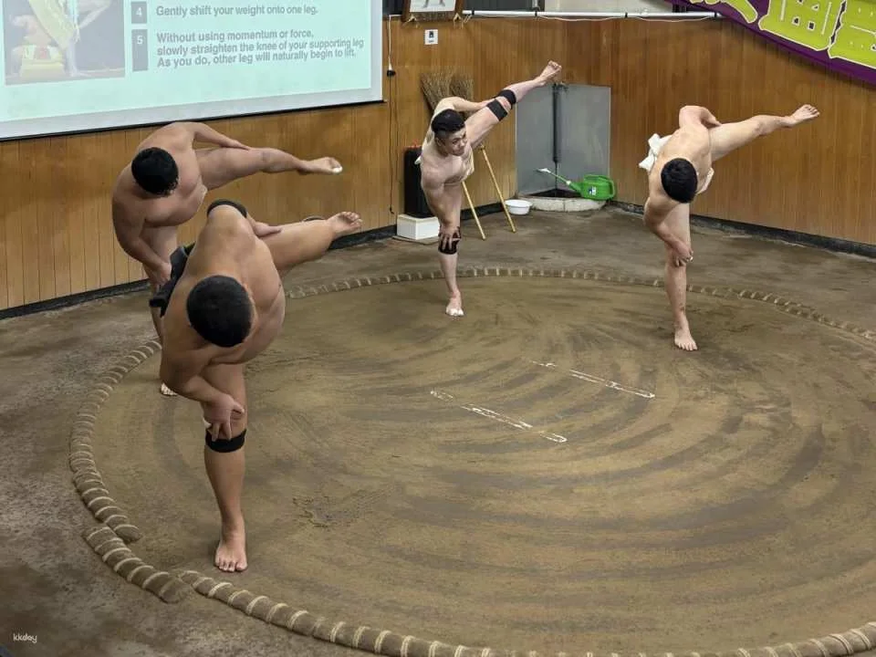 Tokyo Sumo Room Experience: Retired wrestler performances and interactive experiences (optional all-you-can-eat sumo hot pot).