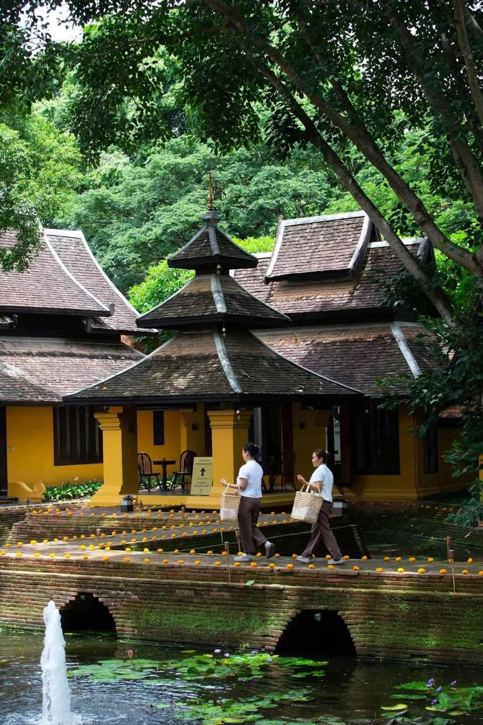Sense Dhara Dhevi Wellness Club | Chiang Mai