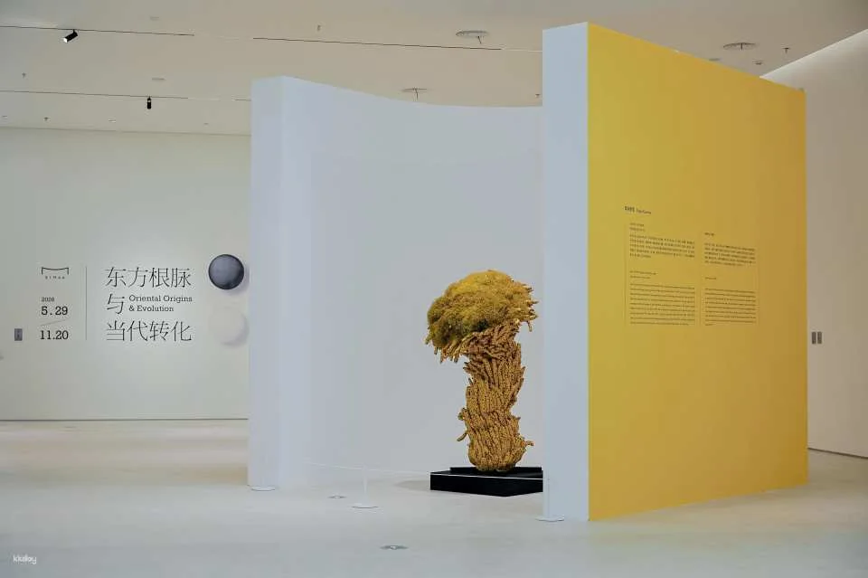 Tickets for the Shenzhen International Art Museum, China