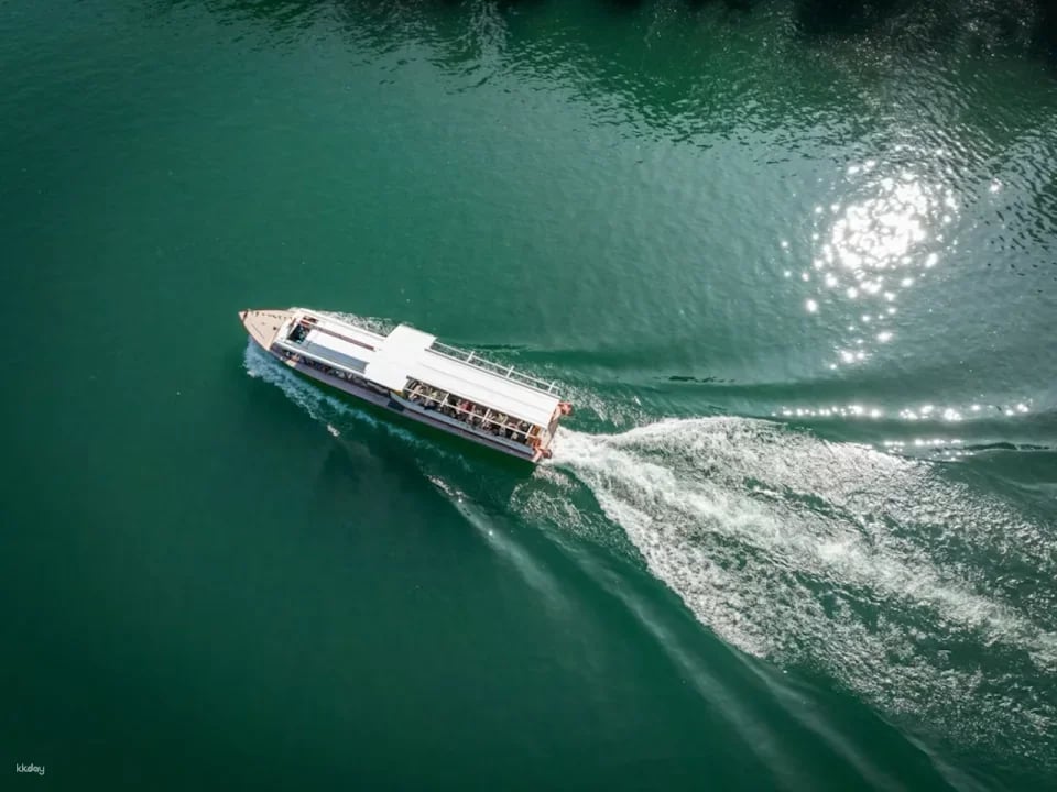 Rhine Falls to Rheinau: 3B Large Circular Cruise | Switzerland