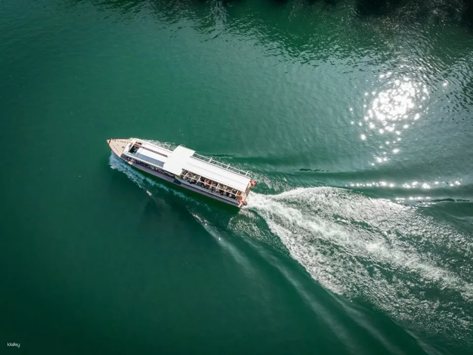Rhine Falls to Rheinau: 3B Large Circular Cruise | Switzerland